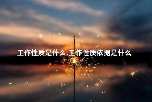 工作性质是什么,工作性质依据是什么 工作性质可以填全职吗